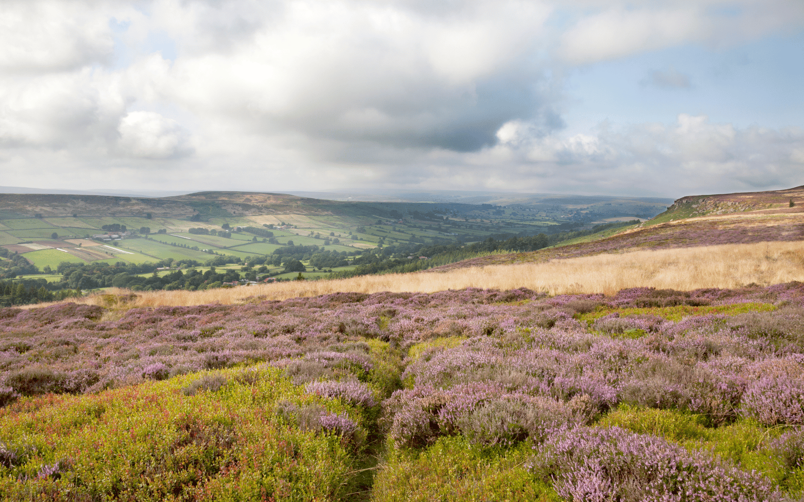 Contractor Accommodation in North Yorkshire