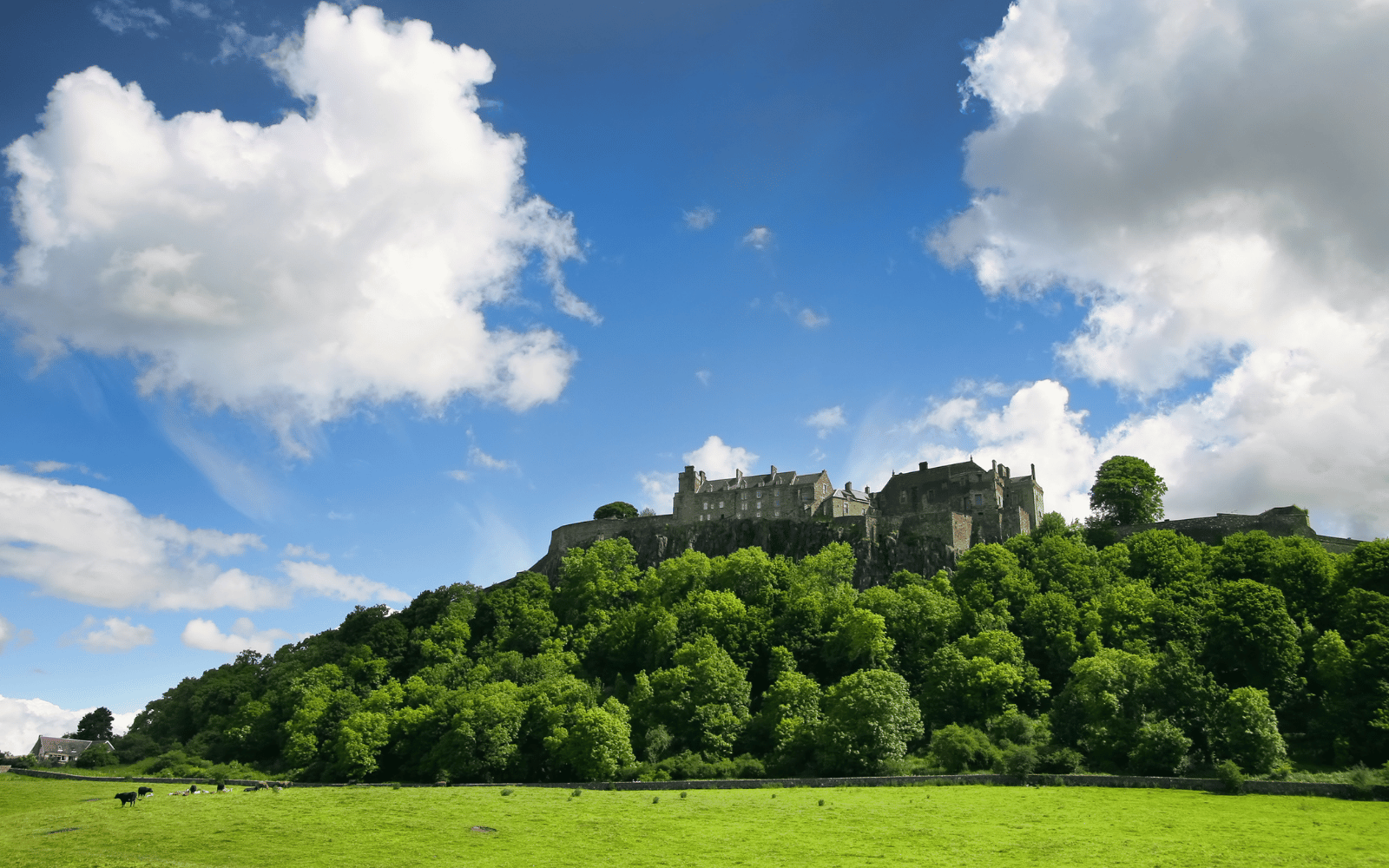 Contractor Accommodation in Stirling