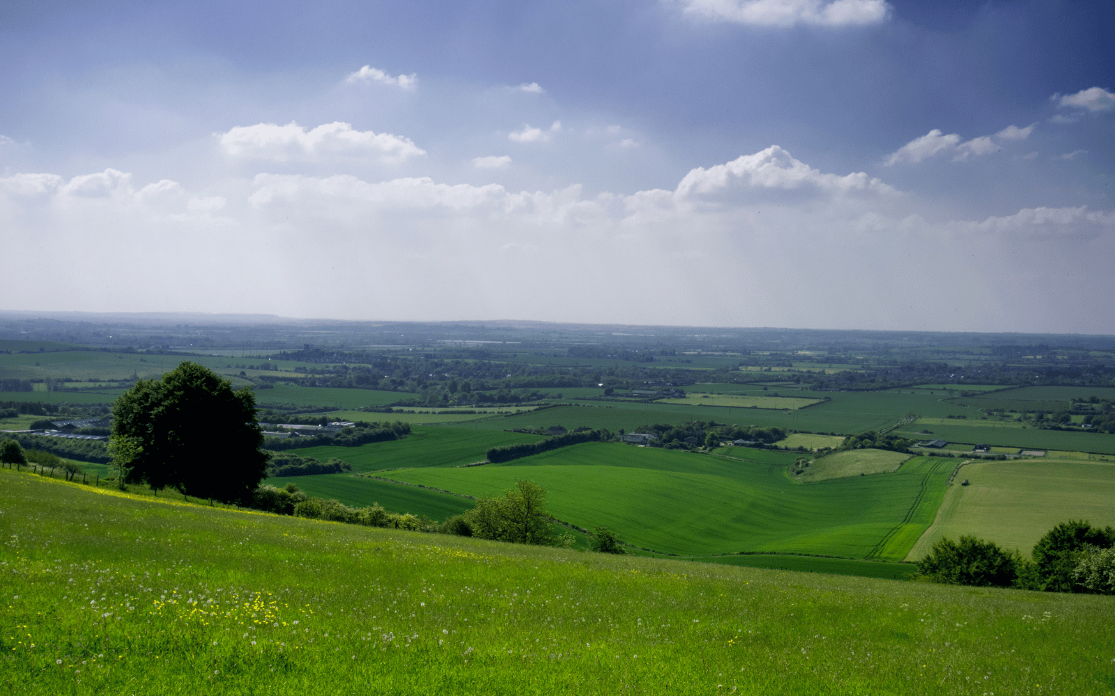 Contractor accommodation in Central Bedfordshire