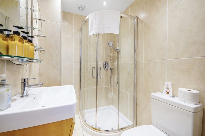 Modern bathroom with shower cubicle, white sink, toilet, and shelving with toiletries