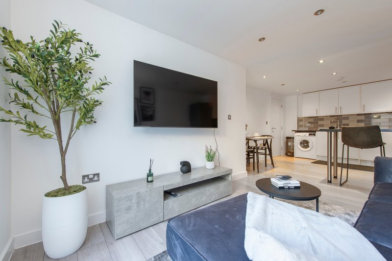 Modern open-plan living room with wall-mounted TV, potted plant, and kitchen visible in background