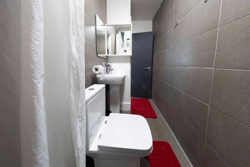 Narrow bathroom with toilet, sink, mirror, and red bath mat