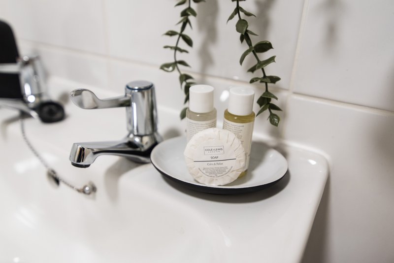 Modern bathroom sink with chrome faucet, toiletries in bottles, hanging plant, and decorative tray