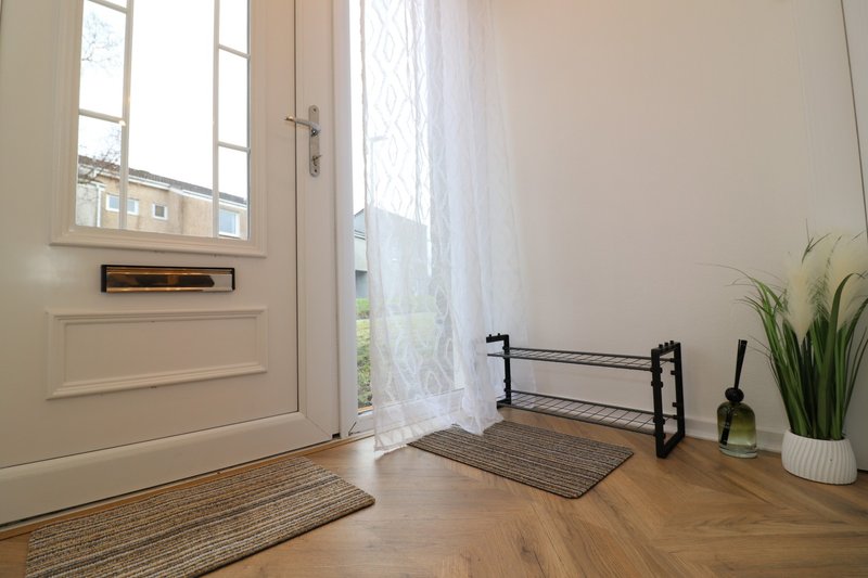 Bright entryway with white door, wooden floor, plant, and shoe rack
