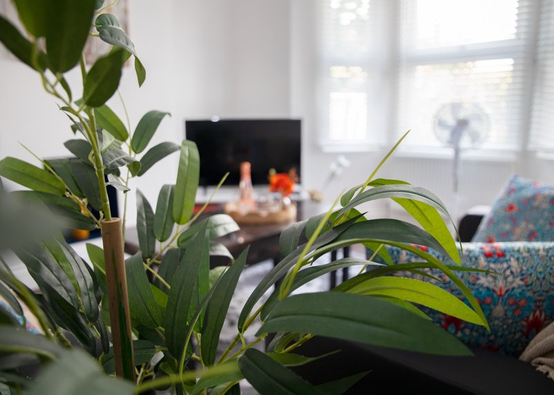 Living room with potted plants in foreground, fireplace, window with blinds, and patterned cushion
