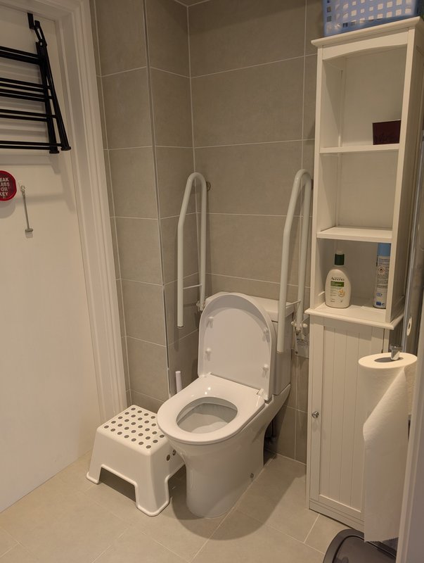 Bathroom with toilet, grab rails, step stool, storage shelving and towel rail