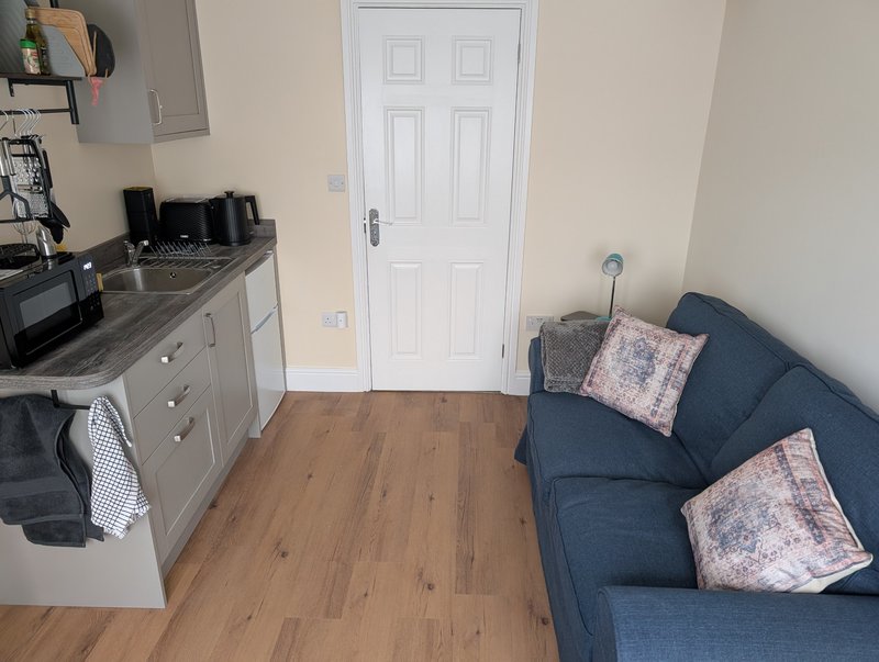 Studio room with kitchenette, blue sofa with cushions, wooden floor, white door.