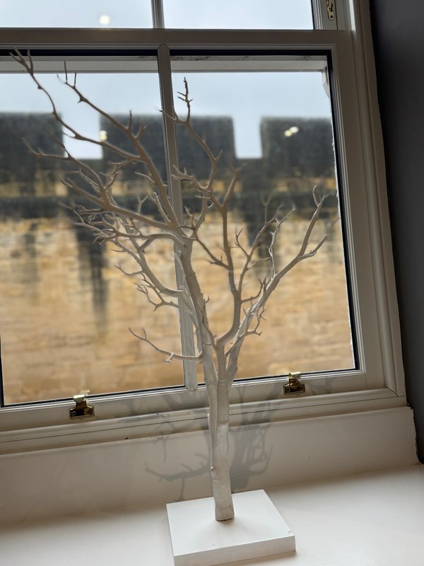 Window sill with bare branch in vase, countryside view visible through glass