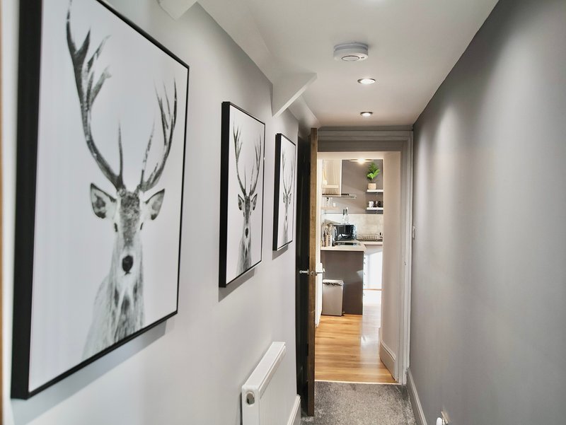 Narrow hallway with framed deer artwork on walls and view into open-plan living space