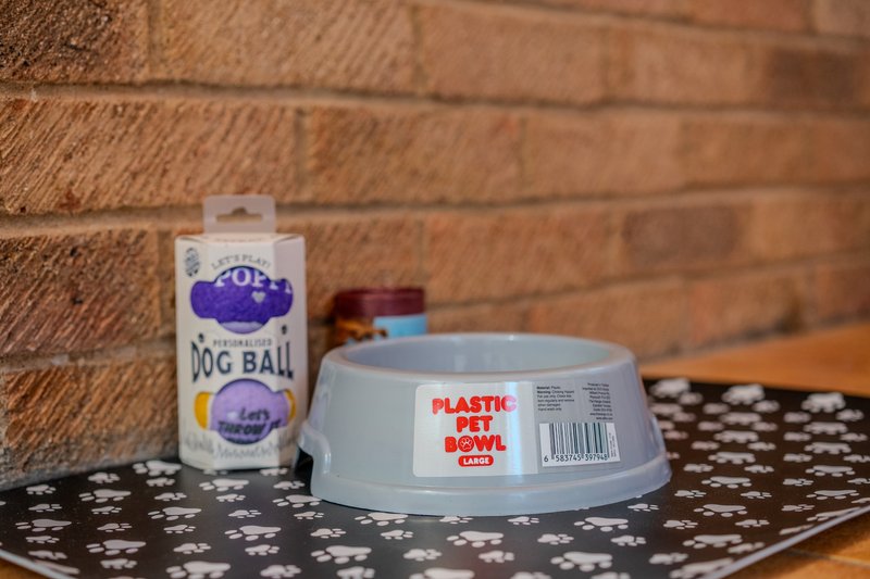 Pet supplies on patterned mat against brick wall backdrop