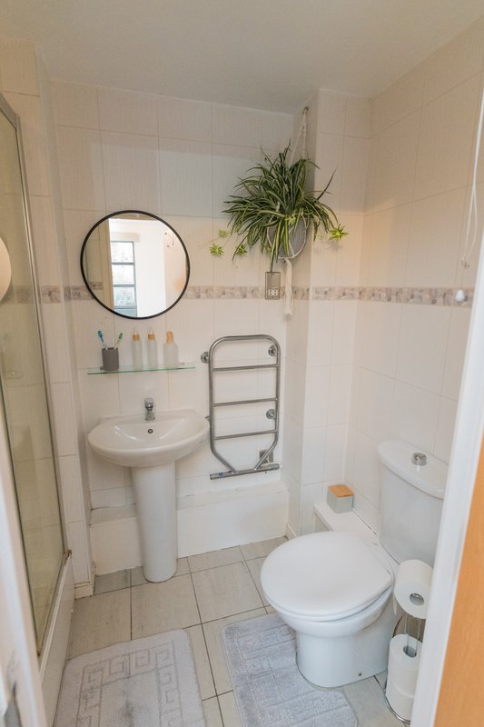 Compact bathroom with pedestal sink, toilet, towel rail, round mirror and potted plant