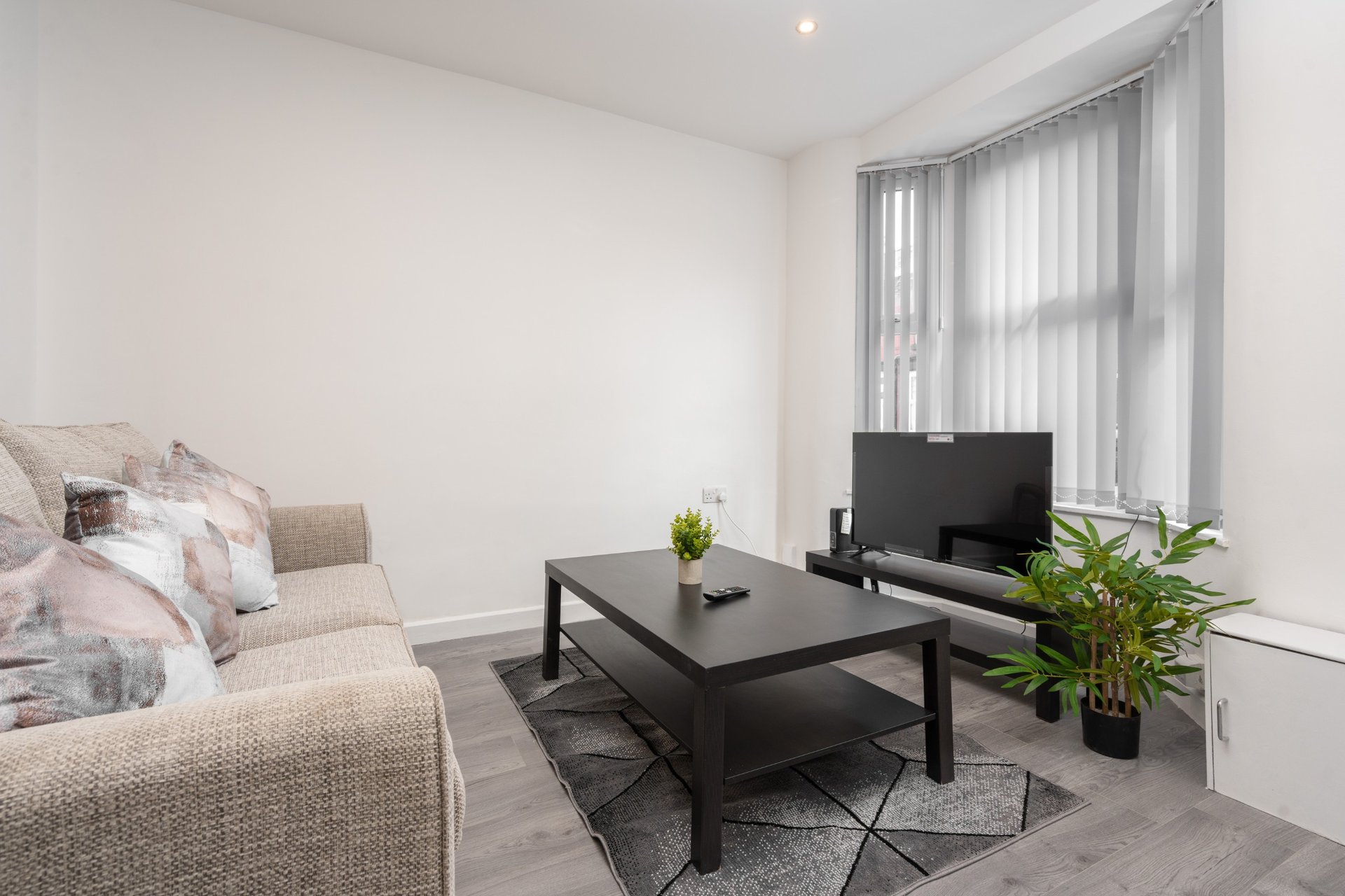 Modern living room with sofa, black coffee table, TV, and potted plant by window