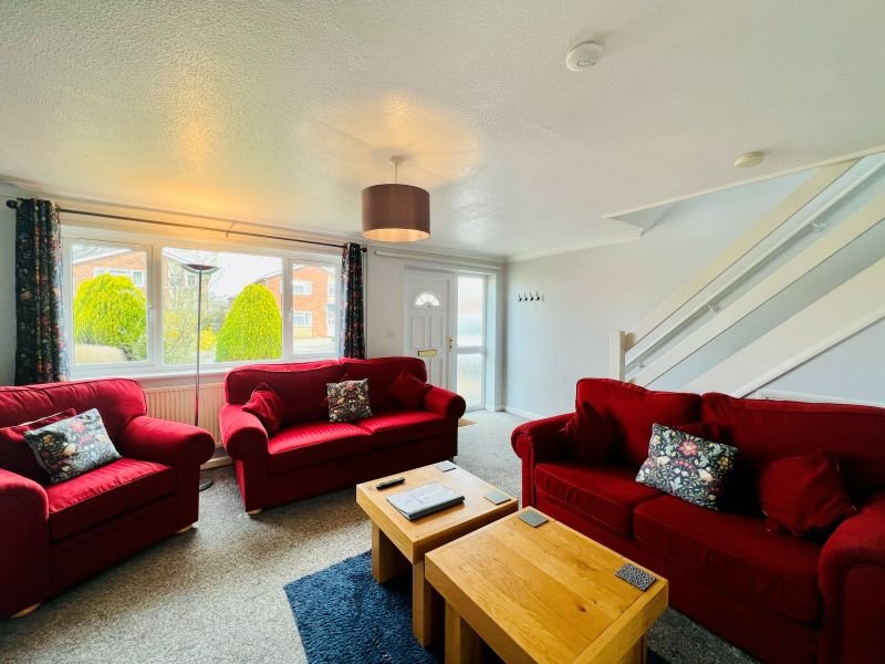 Bright living room with red velvet sofas, wooden coffee tables, blue rug and large windows