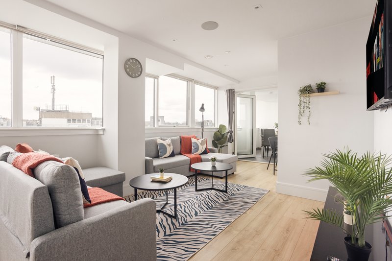 Modern living room with grey sofa, striped rug, coffee table and city view from windows