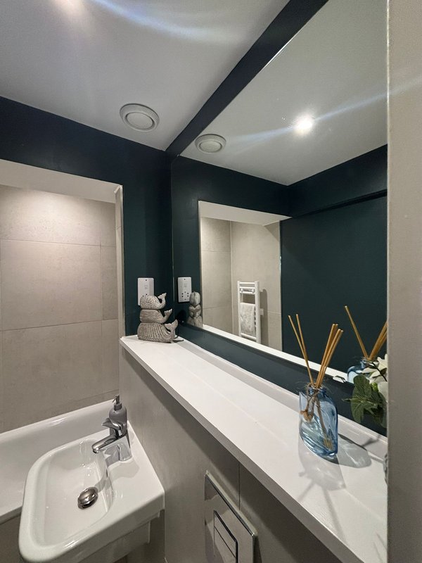 Modern bathroom with dark teal walls, white vanity, large mirror and shower enclosure.