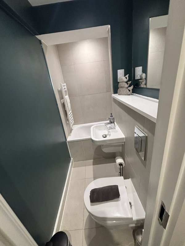 Narrow bathroom with toilet, sink, mirror, and shower enclosure with dark teal walls
