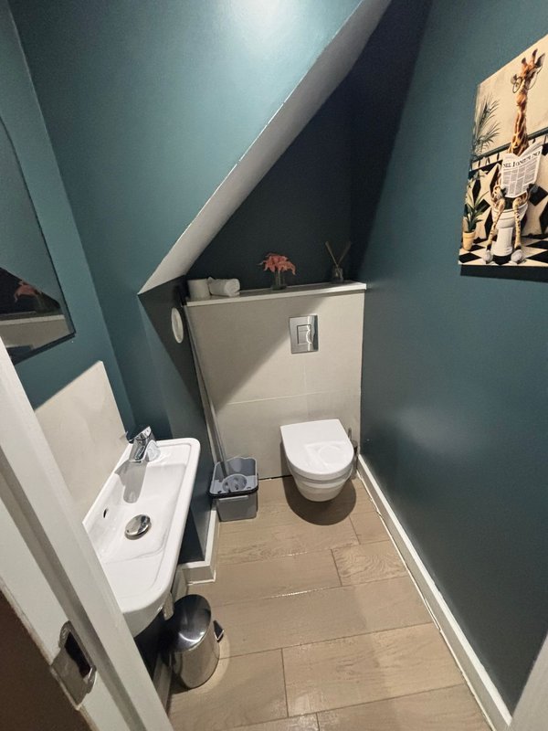 Compact bathroom with toilet, sink, sloped ceiling, teal and white walls