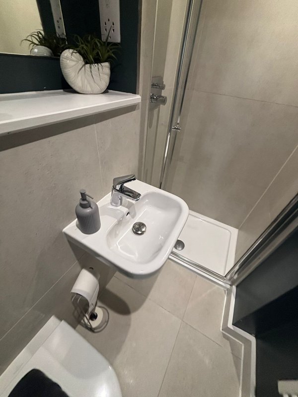 Compact bathroom with white wall-mounted sink, toilet, mirror and potted plant on shelf