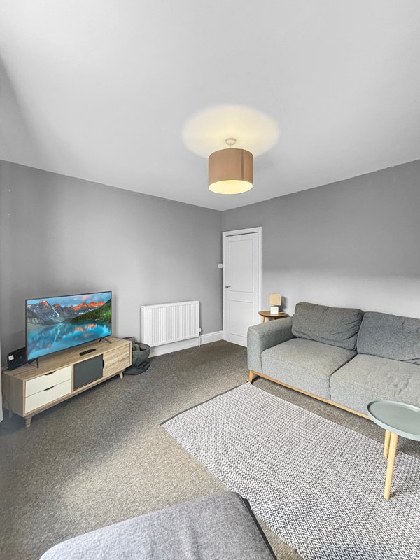 Modern living room with gray sofa, TV stand, ceiling light, and neutral furnishings