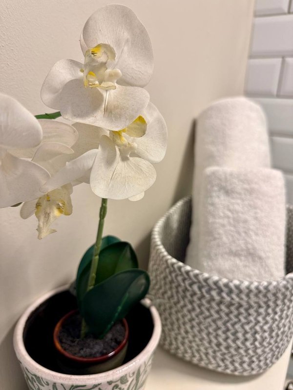 White orchid plant in pot with rolled towels and bathroom shelving