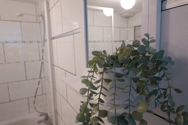Bathroom with white subway tile shower enclosure and hanging trailing green plant