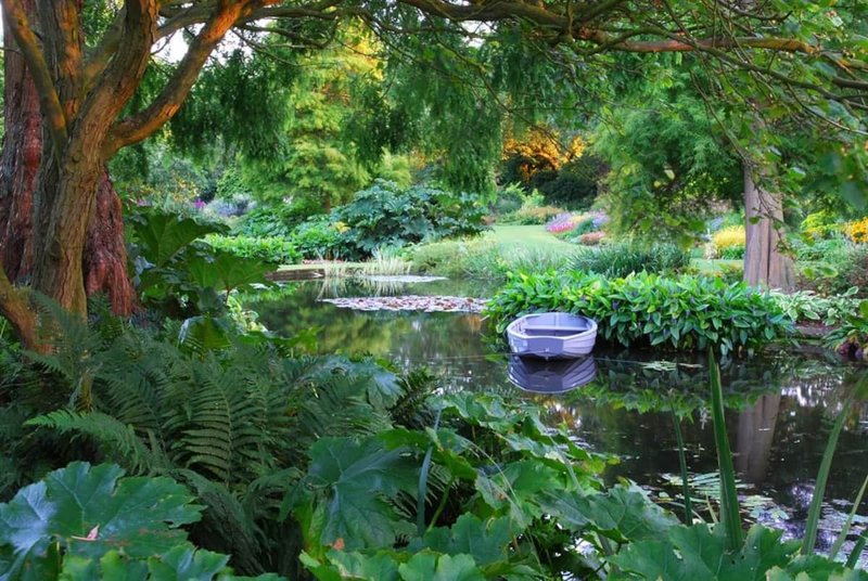 Lush garden with mature trees, pond, and water feature surrounded by green foliage