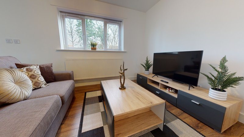 Living room with grey sofa, wooden coffee table, TV on stand, and houseplants by window