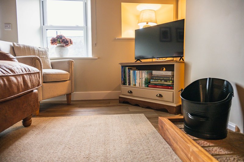Living room with leather sofa, armchair, TV on stand, books, window with flowers and wooden floor.