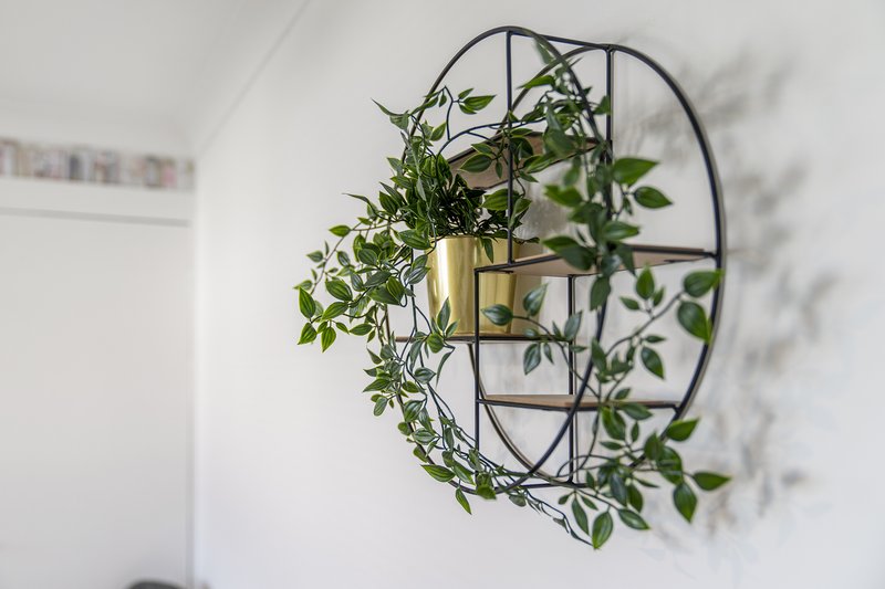 Wall-mounted circular metal shelf with potted climbing plant and trailing green foliage