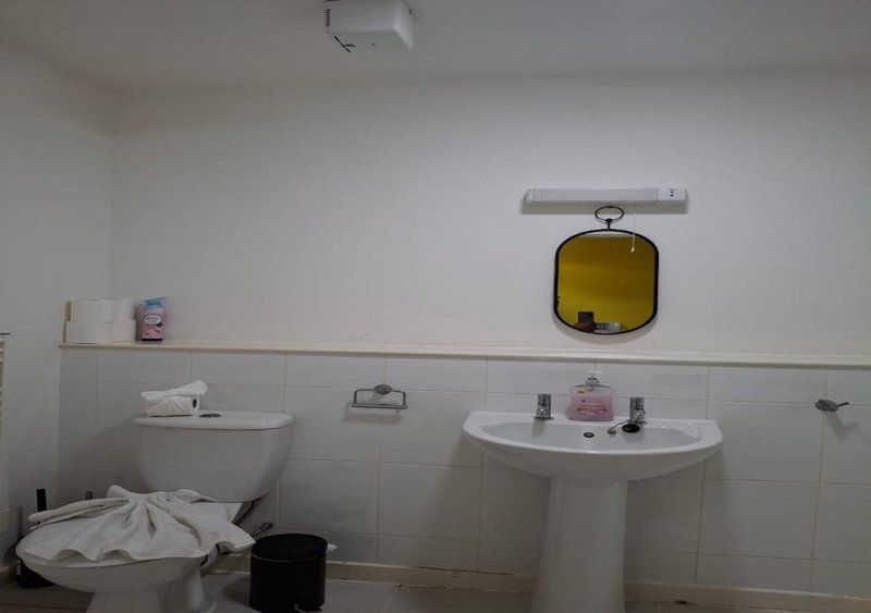 Bathroom with pedestal sink, toilet, mirror and toiletries on shelf