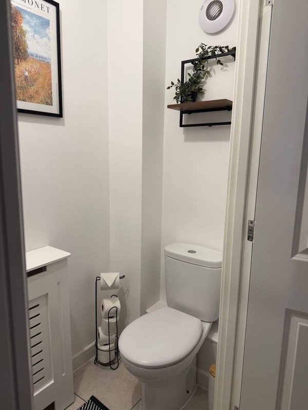 Compact bathroom with toilet, white walls, framed artwork, and potted plant on shelf