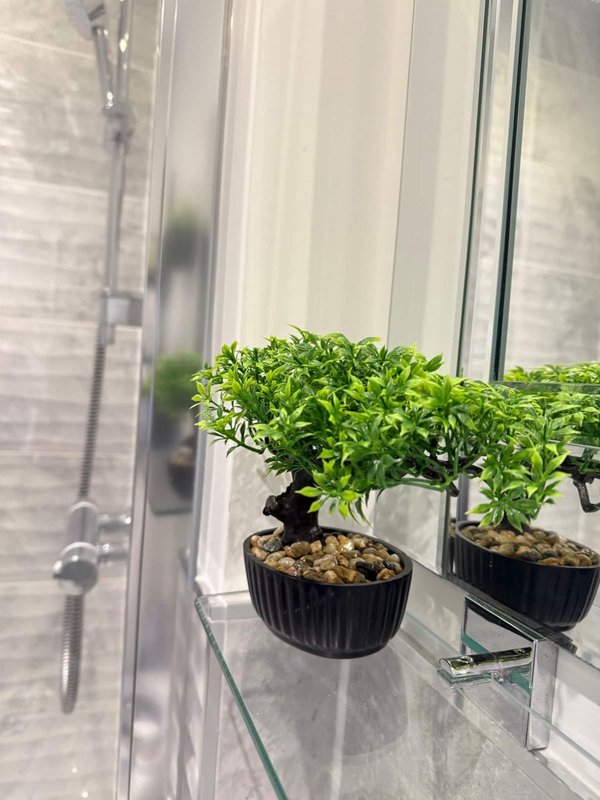 Windowsill with two small potted green plants in black containers