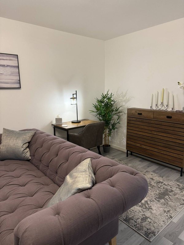 Modern bedroom with quilted bed, wooden dresser, desk lamp, potted plant and area rug