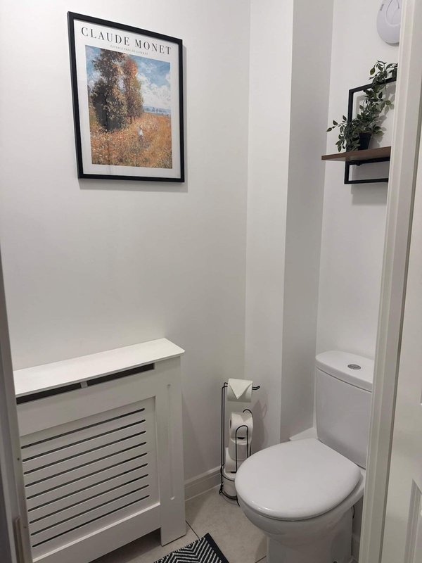 Small bathroom with toilet, radiator, framed art print and potted plant shelf