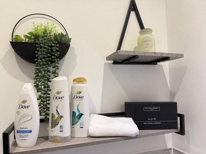 Bathroom shelf with hanging plants, Dove toiletries, towels, and decorative items