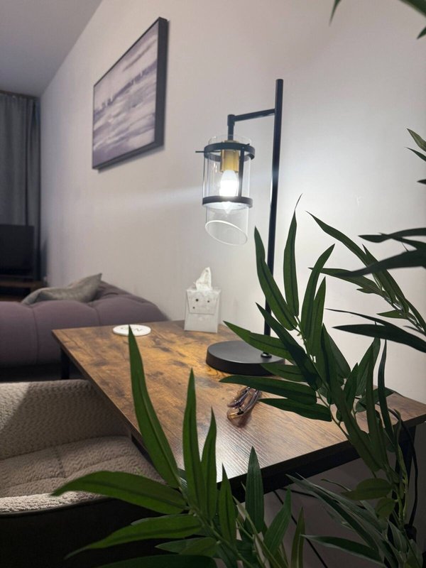 Modern bedroom with desk, pendant lamp, potted plant, and wall art