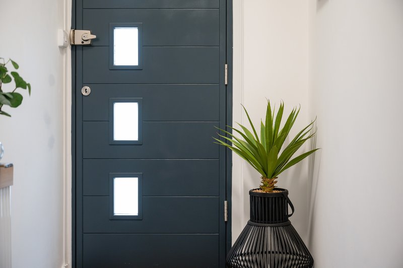 Entrance hallway with dark modern door, white walls, potted plant in decorative vase