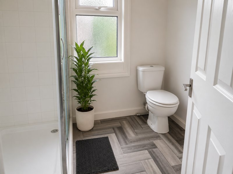 Clean bathroom with toilet, shower enclosure, potted plant and geometric floor tiles