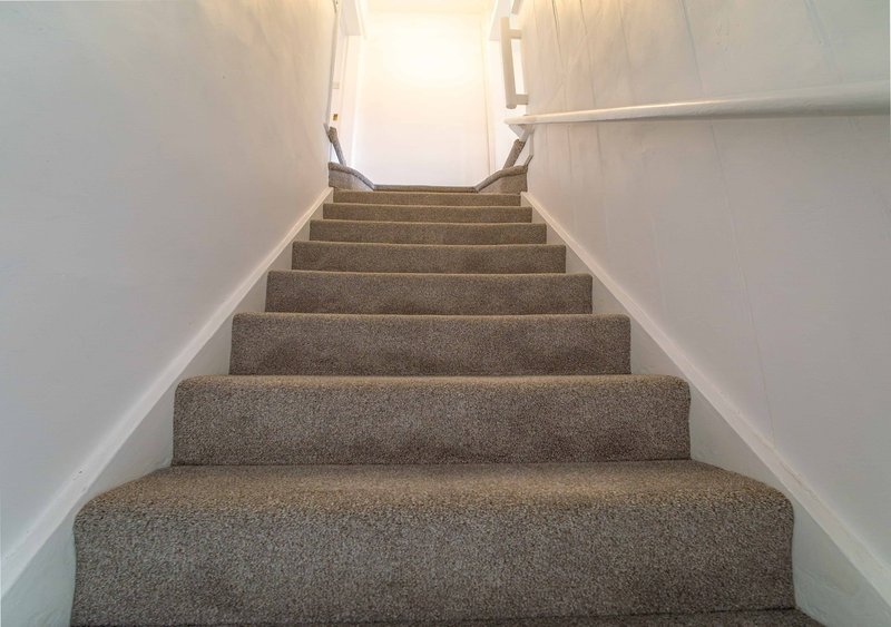 Staircase with brown carpet leading upward to bright skylight window