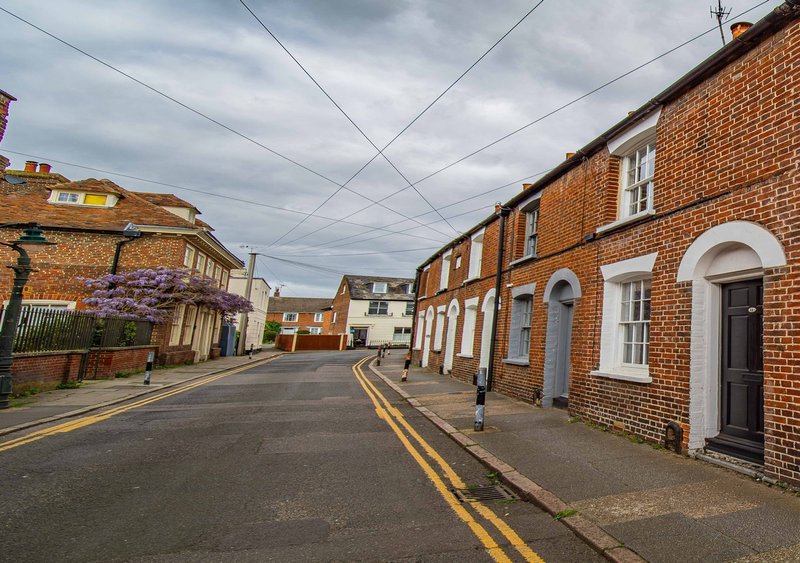 Street view of brick terraced houses with yellow line markings and purple flowering plant