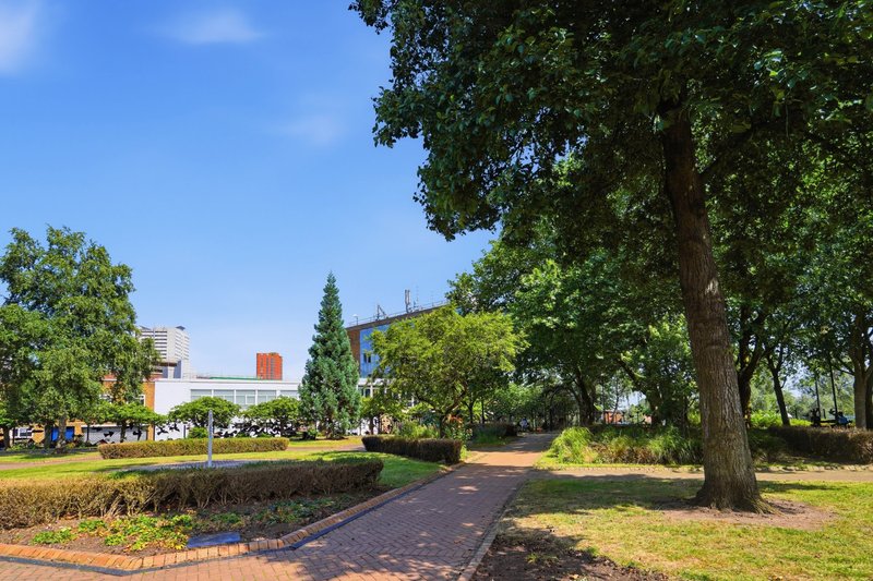 Tree-lined park pathway with brick walkway, manicured lawn and modern building in background