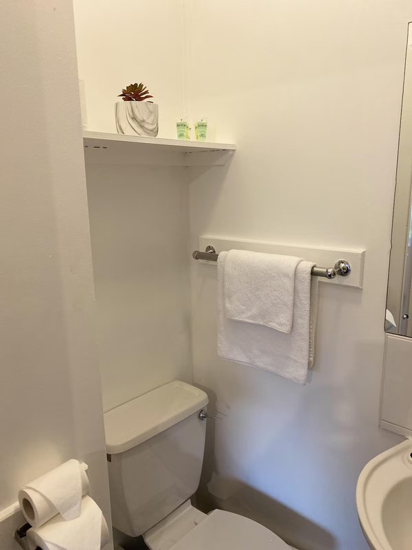 Small bathroom with toilet, towel rail, shelf with potted plants and succulents