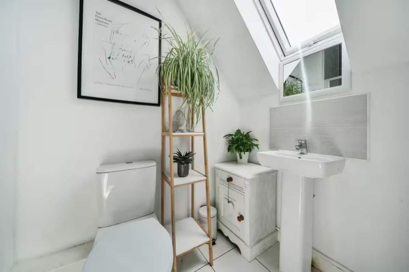Modern bathroom with toilet, pedestal sink, wooden plant stand with potted plants and skylight window