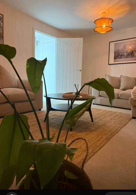 Bright living room with potted plant, wooden table, sofa, and amber ceiling light
