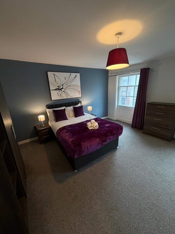 Modern bedroom with double bed, purple bedding, blue accent wall and pendant light