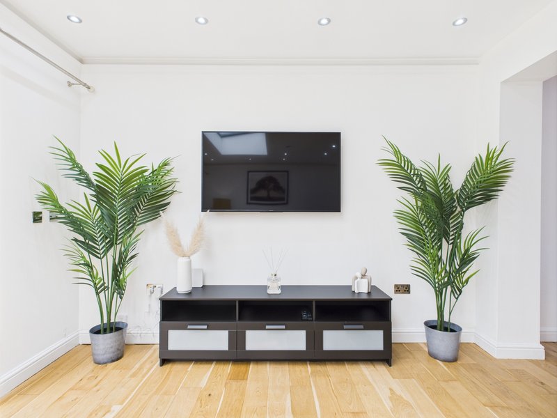 Modern living room with wall-mounted TV, black media console, potted plants, and wooden flooring