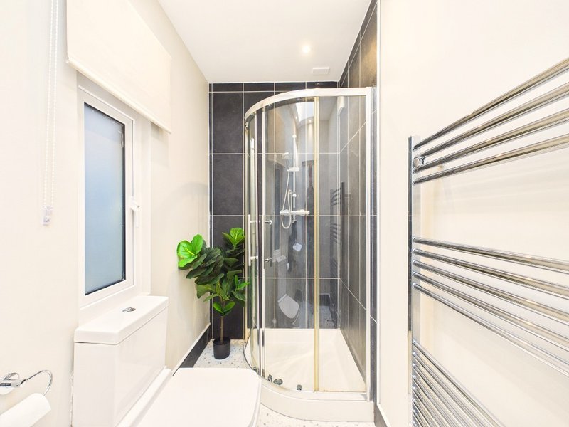 Modern bathroom with shower enclosure, sink, heated towel rail and potted plant