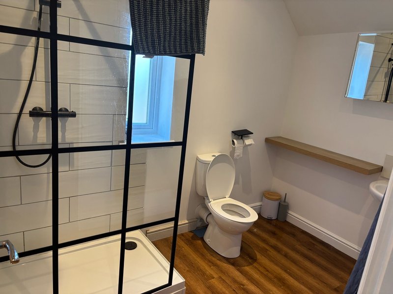 Modern bathroom with shower enclosure, toilet, wooden floor and white tile walls