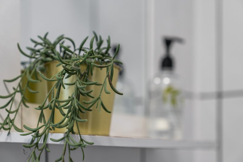 Potted trailing plant on shelf with blurred bathroom background