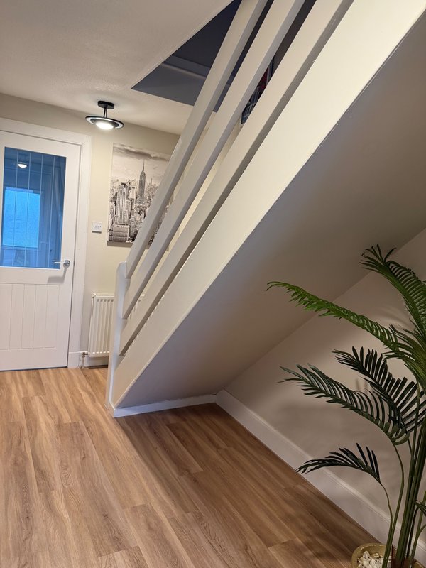 Modern hallway with wooden flooring, sloped ceiling, skylight, white door and potted plant